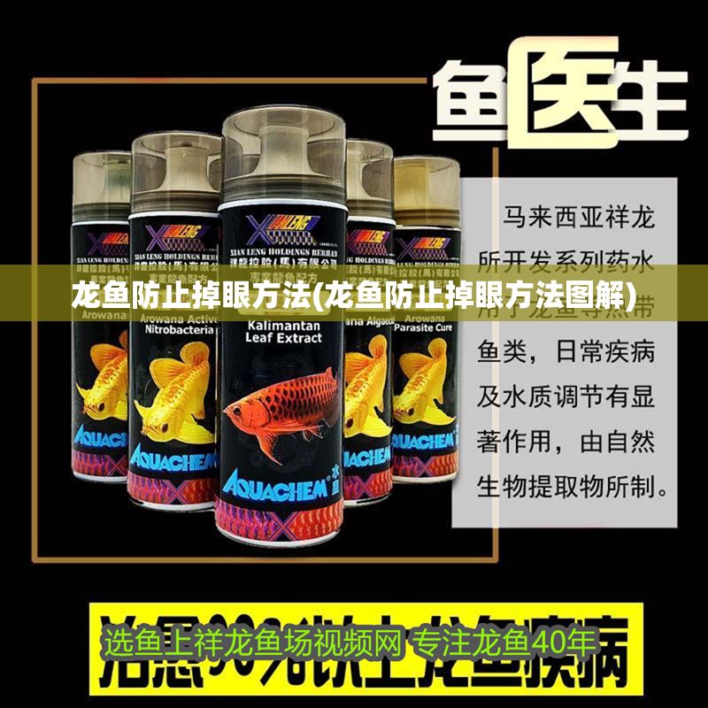 龍魚防止掉眼方法(龍魚防止掉眼方法圖解)