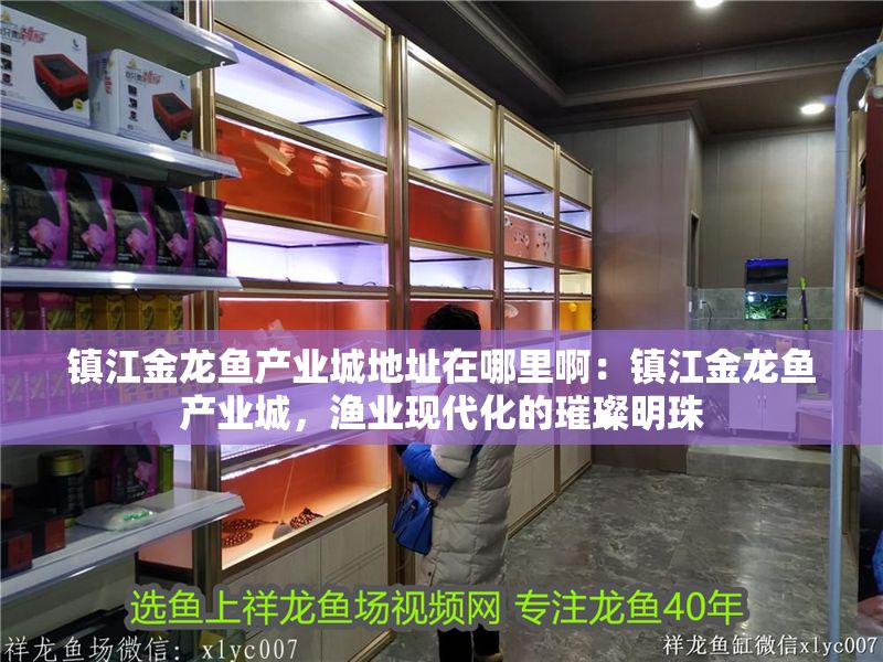 鎮(zhèn)江金龍魚(yú)產(chǎn)業(yè)城地址在哪里啊：鎮(zhèn)江金龍魚(yú)產(chǎn)業(yè)城，漁業(yè)現(xiàn)代化的璀璨明珠