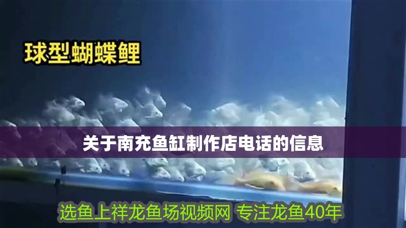 關(guān)于南充魚缸制作店電話的信息