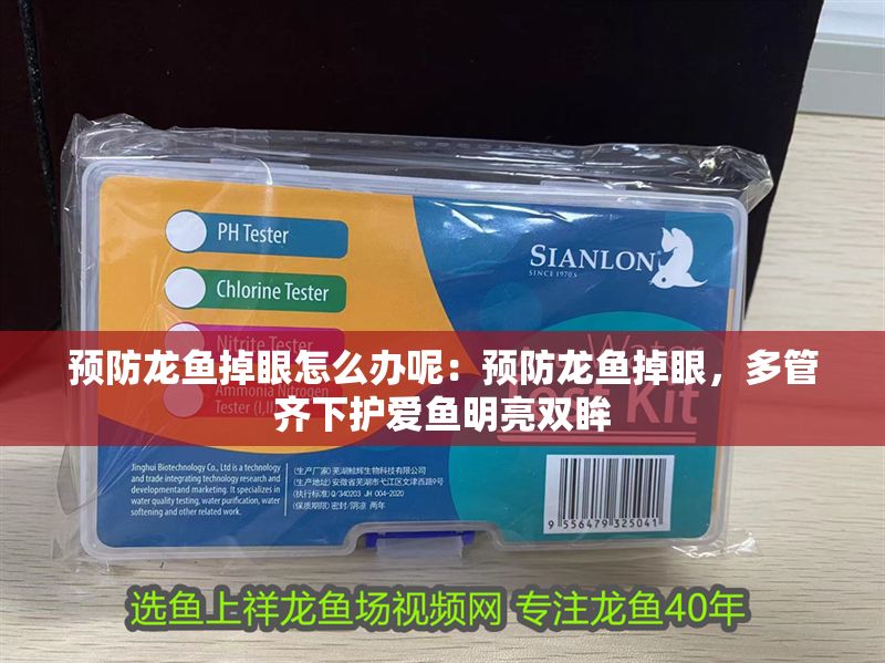 預防龍魚掉眼怎么辦呢：預防龍魚掉眼，多管齊下護愛魚明亮雙眸