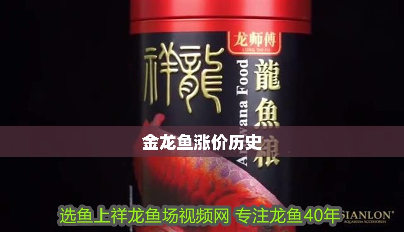 金龍魚漲價(jià)歷史