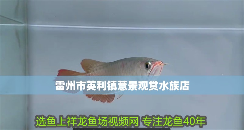 雷州市英利鎮(zhèn)薏景觀賞水族店