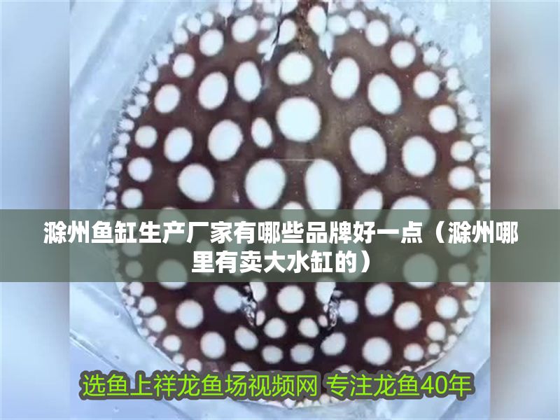 滁州魚缸生產廠家有哪些品牌好一點（滁州哪里有賣大水缸的）