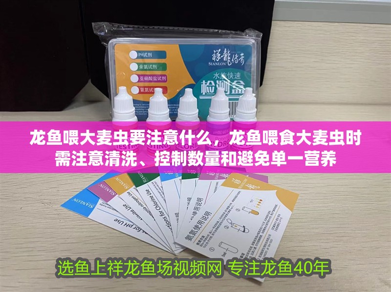 龍魚喂大麥蟲要注意什么，龍魚喂食大麥蟲時需注意清洗、控制數量和避免單一營養