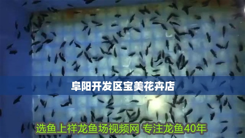 阜陽開發區寶美花卉店