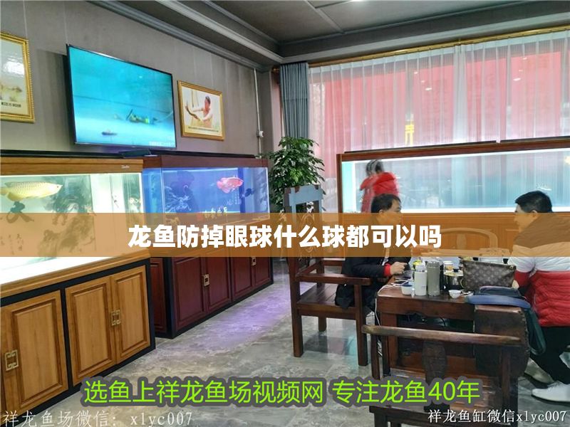 龍魚防掉眼球什么球都可以嗎