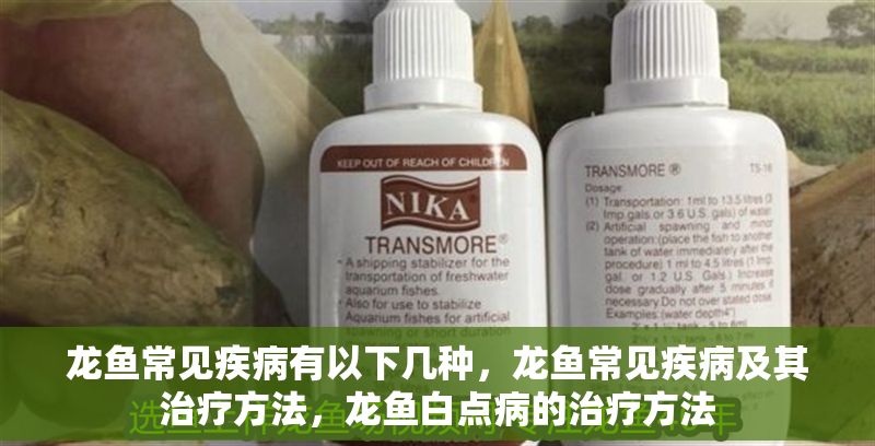 龍魚常見疾病有以下幾種，龍魚常見疾病及其治療方法，龍魚白點病的治療方法 龍魚常見疾病有以下幾種，龍魚常見疾病及其治療方法，龍魚白點病的治療方法 龍魚百科 第2張