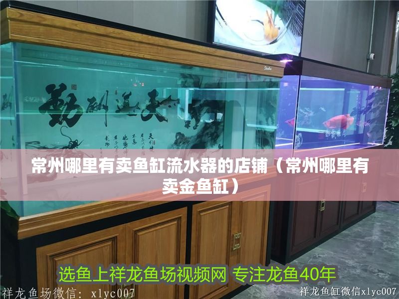常州哪里有賣魚缸流水器的店鋪（常州哪里有賣金魚缸）