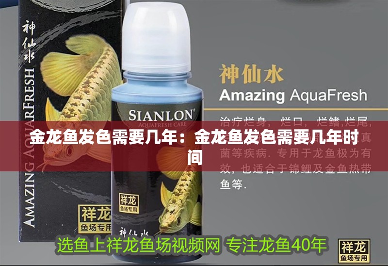 金龍魚發色需要幾年：金龍魚發色需要幾年時間