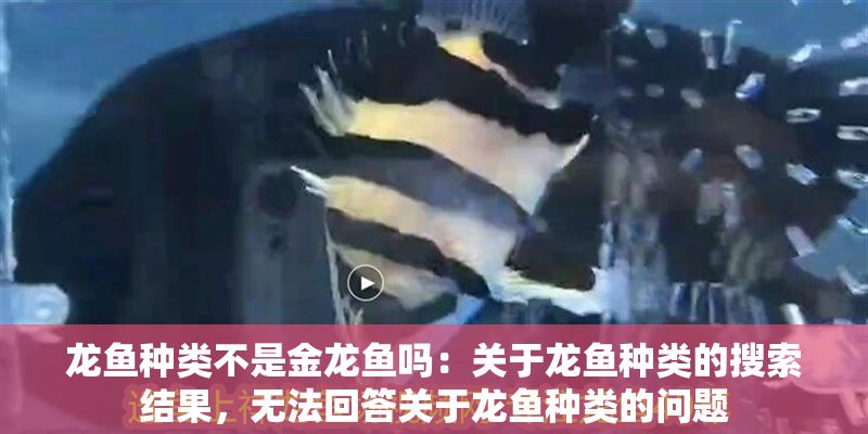 龍魚種類不是金龍魚嗎：關于龍魚種類的搜索結果，無法回答關于龍魚種類的問題 龍魚種類不是金龍魚嗎：關于龍魚種類的搜索結果，無法回答關于龍魚種類的問題 龍魚百科 第2張