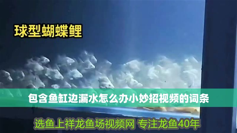 包含魚缸邊漏水怎么辦小妙招視頻的詞條