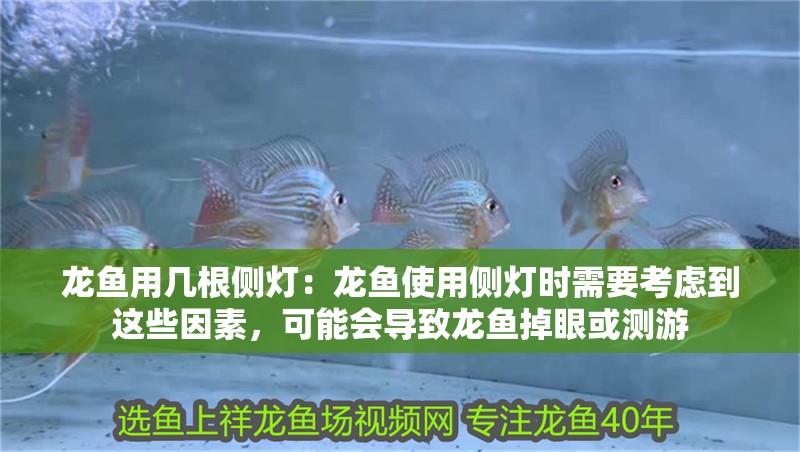 龍魚用幾根側燈：龍魚使用側燈時需要考慮到這些因素，可能會導致龍魚掉眼或測游