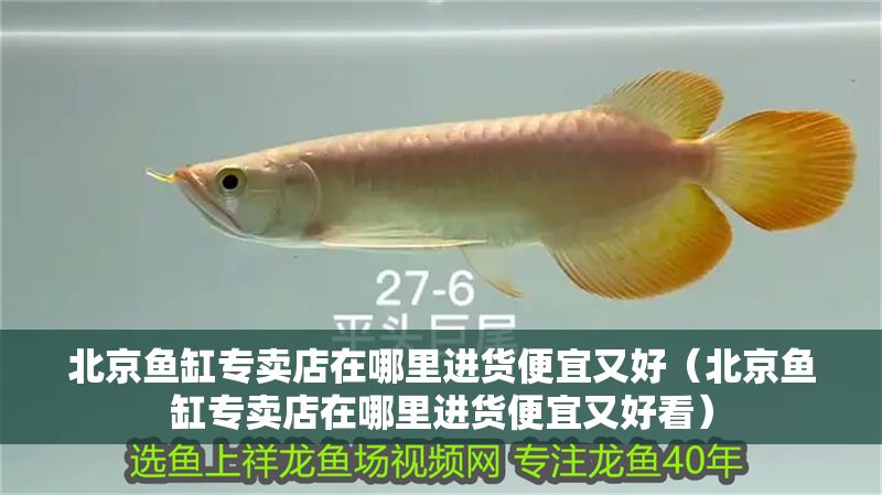 北京魚缸專賣店在哪里進(jìn)貨便宜又好（北京魚缸專賣店在哪里進(jìn)貨便宜又好看）