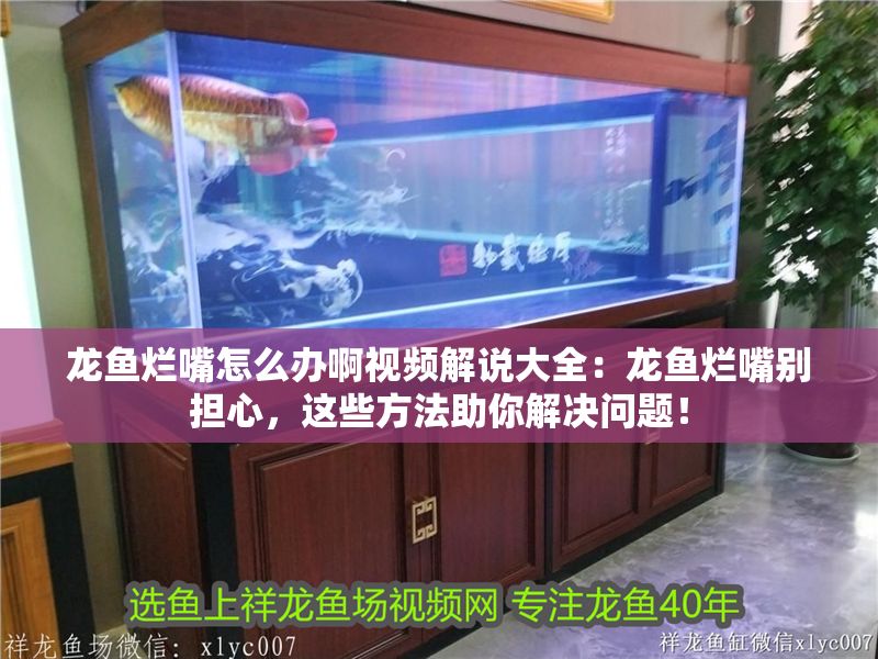 龍魚爛嘴怎么辦啊視頻解說大全：龍魚爛嘴別擔心，這些方法助你解決問題！