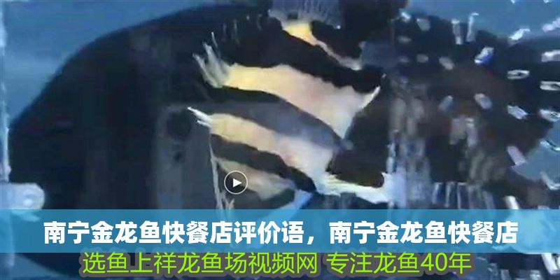 南寧金龍魚快餐店評價語，南寧金龍魚快餐店