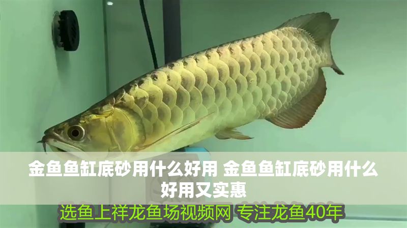 金魚魚缸底砂用什么好用 金魚魚缸底砂用什么好用又實惠