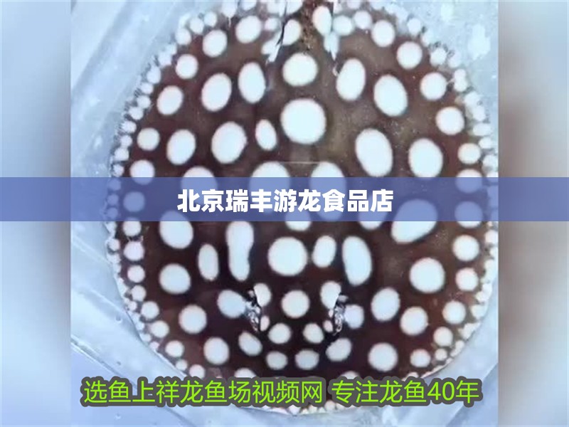北京瑞豐游龍食品店