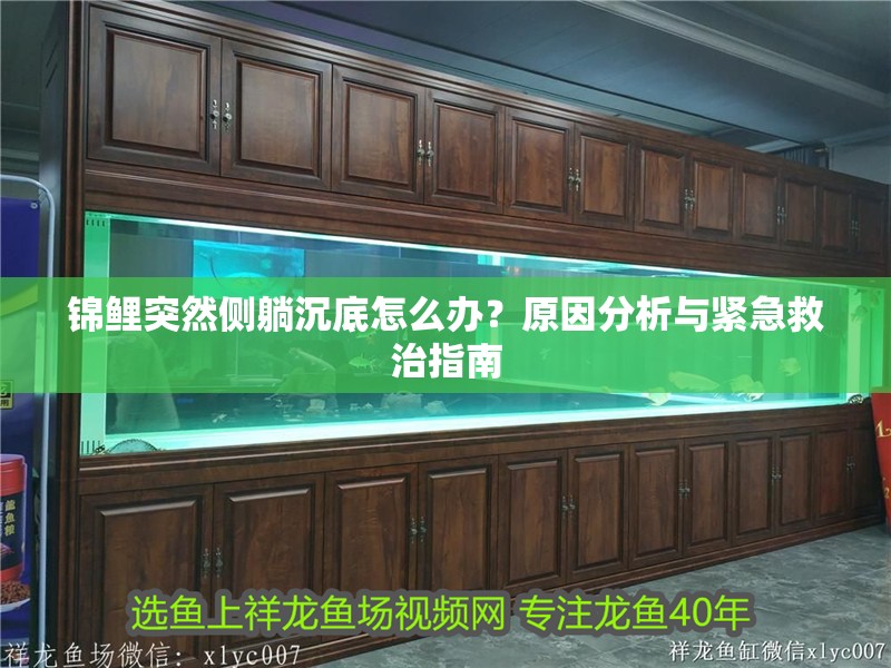 錦鯉突然側(cè)躺沉底怎么辦？原因分析與緊急救治指南