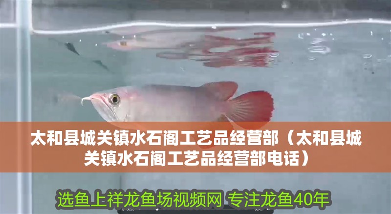 太和縣城關(guān)鎮(zhèn)水石閣工藝品經(jīng)營部（太和縣城關(guān)鎮(zhèn)水石閣工藝品經(jīng)營部電話）