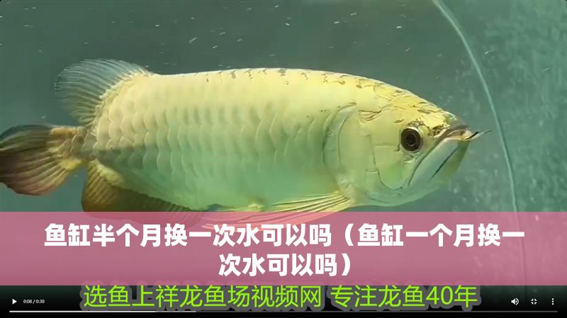 魚(yú)缸半個(gè)月?lián)Q一次水可以嗎（魚(yú)缸一個(gè)月?lián)Q一次水可以嗎）