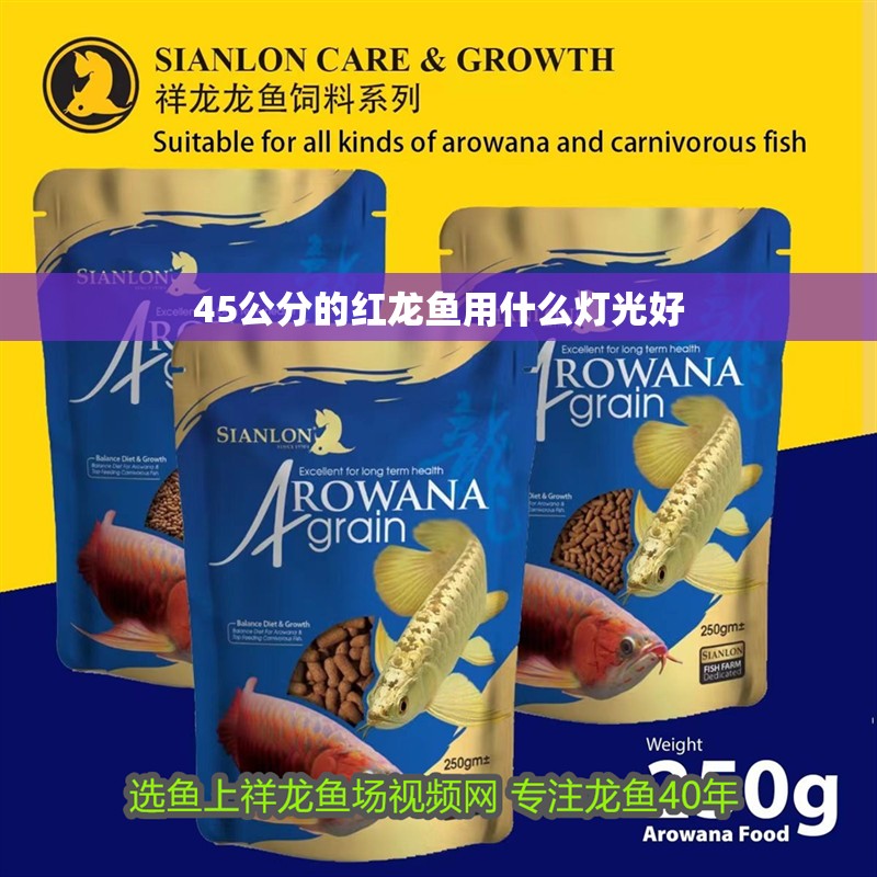 45公分的紅龍魚用什么燈光好