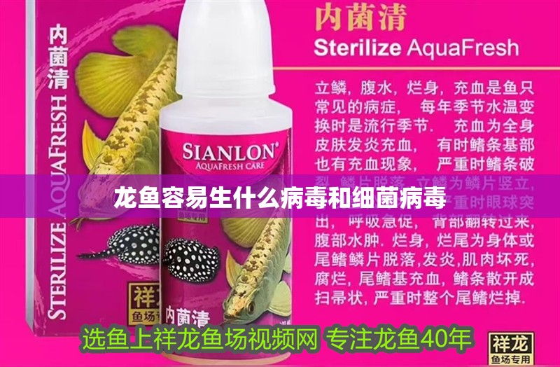 龍魚容易生什么病毒和細(xì)菌病毒