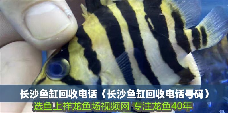 長沙魚缸回收電話（長沙魚缸回收電話號碼）