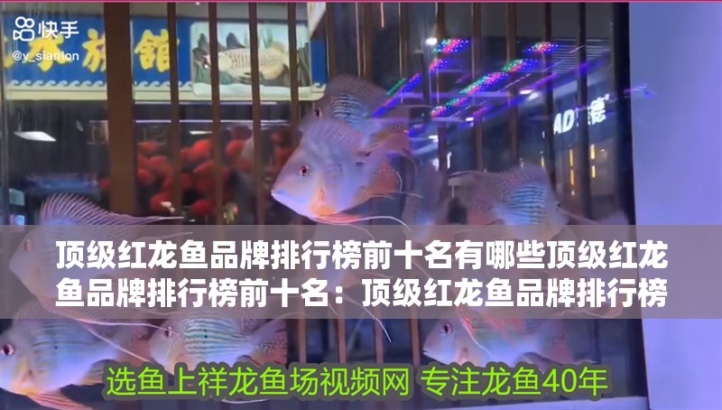 頂級紅龍魚品牌排行榜前十名有哪些頂級紅龍魚品牌排行榜前十名：頂級紅龍魚品牌排行榜前十名