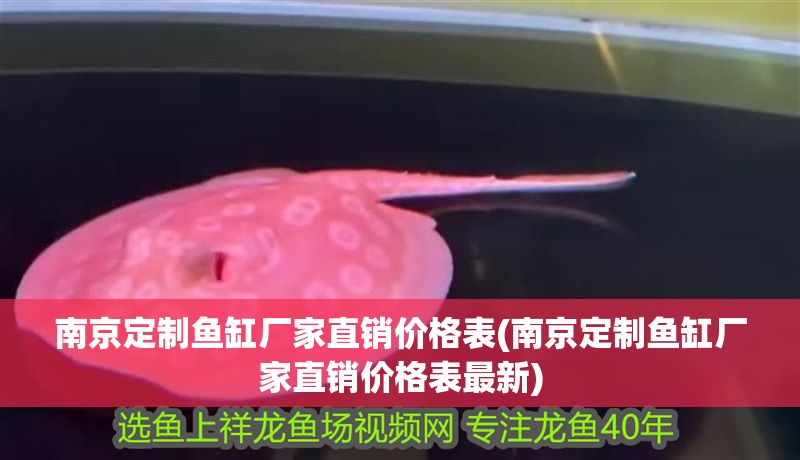 南京定制魚缸廠家直銷價格表(南京定制魚缸廠家直銷價格表最新)