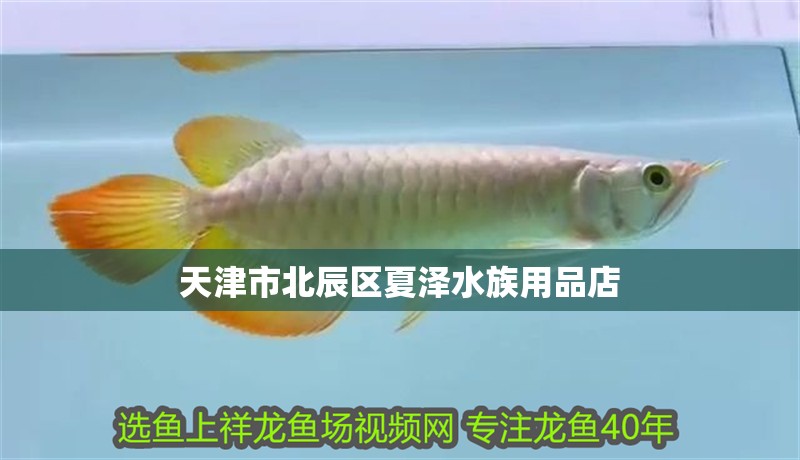 天津<strong><mark>市北</mark></strong>辰區夏澤水族用品店