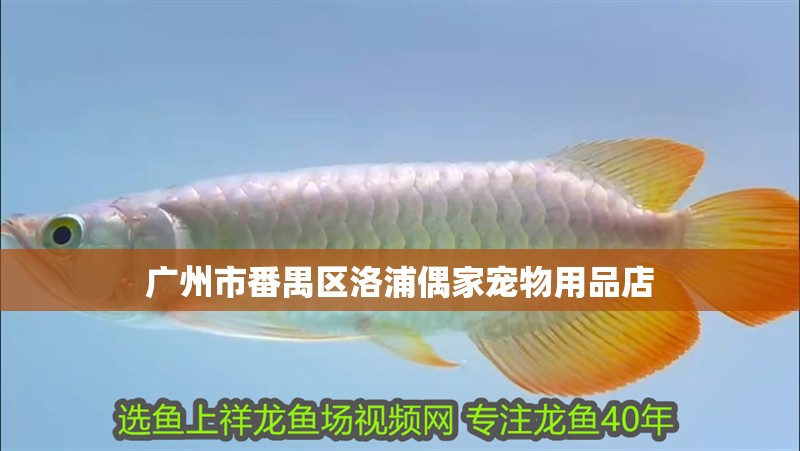 廣州市番禺區(qū)洛浦偶家寵物用品店