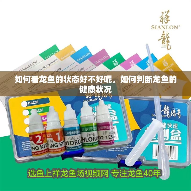 如何看龍魚的狀態好不好呢，如何判斷龍魚的健康狀況