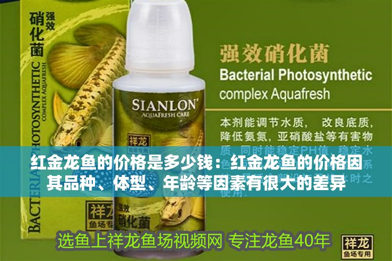 紅金龍魚的價格是多少錢：紅金龍魚的價格因其品種、體型、年齡等因素有很大的差異