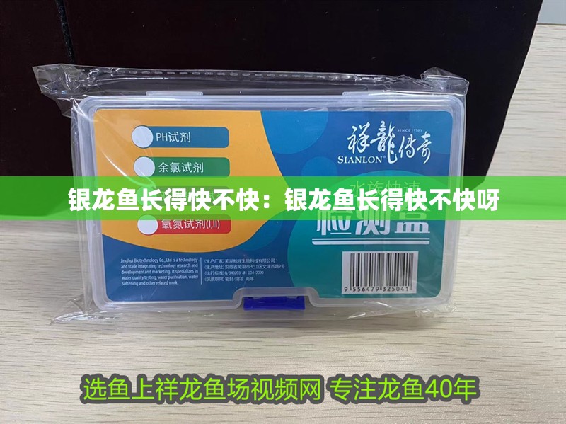 銀龍魚長(zhǎng)得快不快：銀龍魚長(zhǎng)得快不快呀