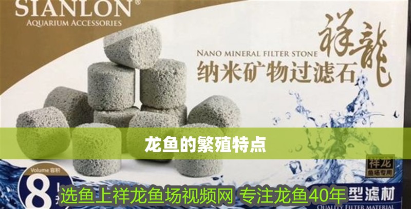 龍魚的繁殖特點(diǎn)