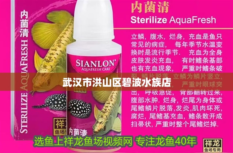 武漢市洪山區(qū)碧波水族店 武漢市洪山區(qū)碧波水族店 全國水族館企業(yè)名錄 第1張