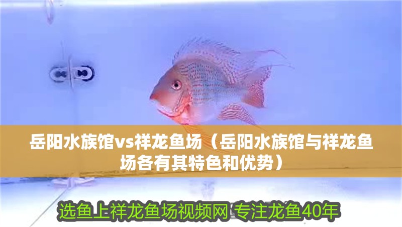 岳陽水族館vs祥龍魚場(岳陽水族館與祥龍魚場各有其特色和優勢)