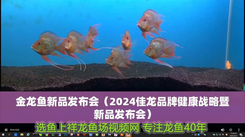 金龍魚新品發(fā)布會（2024佳龍品牌健康戰(zhàn)略暨新品發(fā)布會）