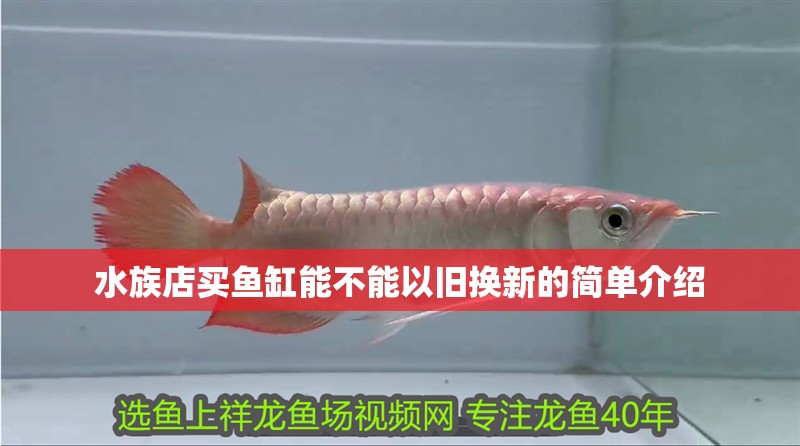 水族店買魚缸能不能以舊換新的簡單介紹