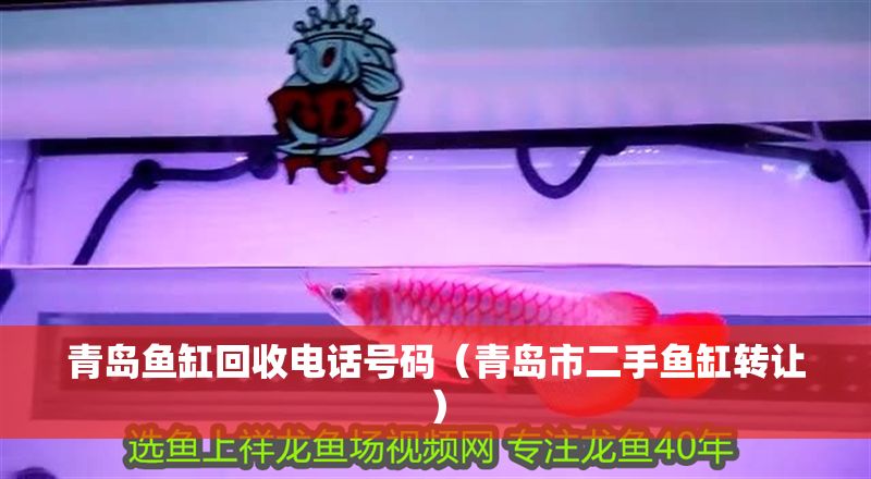 青島魚缸回收電話號碼（青島市二手魚缸轉讓）
