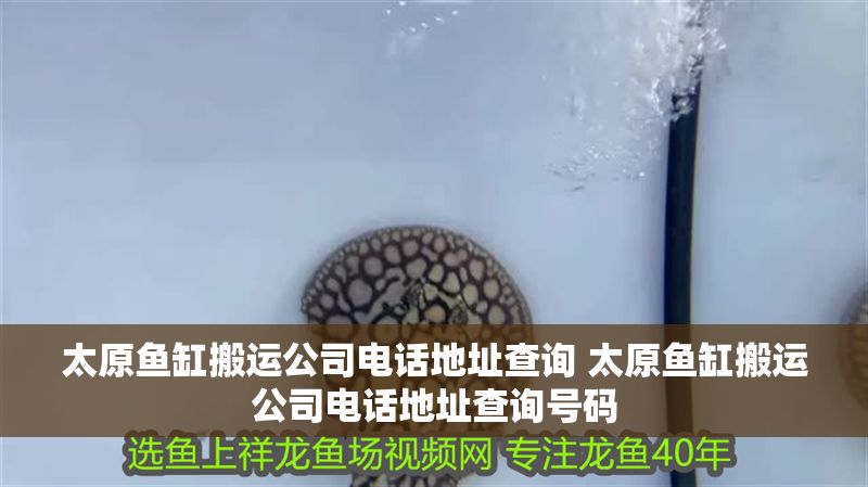 太原魚缸搬運公司電話地址查詢 太原魚缸搬運公司電話地址查詢號碼
