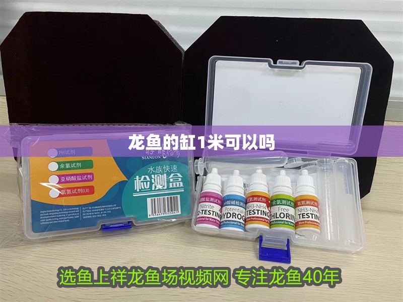 龍魚的缸1米可以嗎