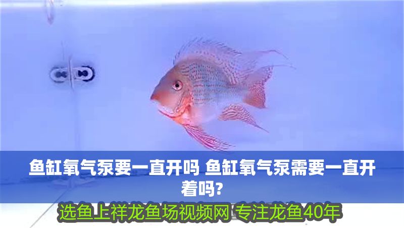 魚缸氧氣泵要一直開嗎 魚缸氧氣泵需要一直開著嗎?