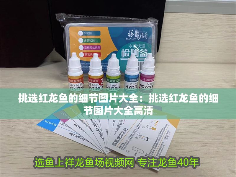 挑選紅龍魚的細節圖片大全：挑選紅龍魚的細節圖片大全高清 挑選紅龍魚的細節圖片大全：挑選紅龍魚的細節圖片大全高清 龍魚百科 第1張