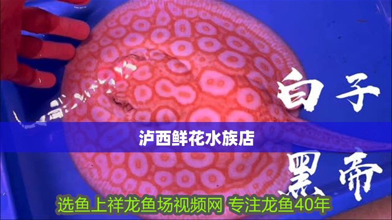 瀘西鮮花水族店