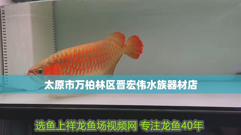 太原市萬柏林區晉宏偉水族器材店