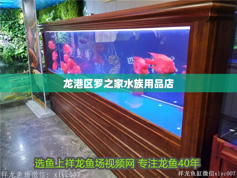 龍港區羅之家水族用品店