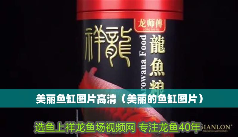 美麗魚缸圖片高清（美麗的魚缸圖片）