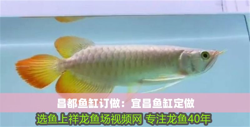 昌都魚缸訂做：宜昌魚缸定做