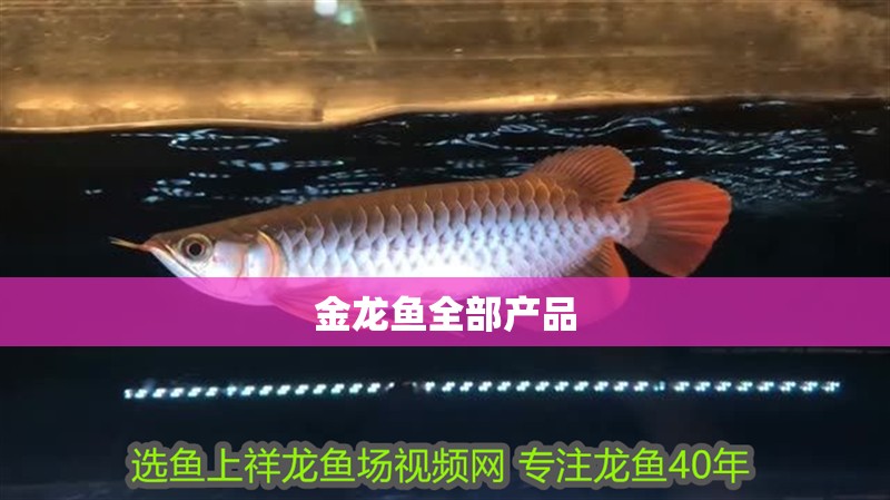金龍魚全部產(chǎn)品